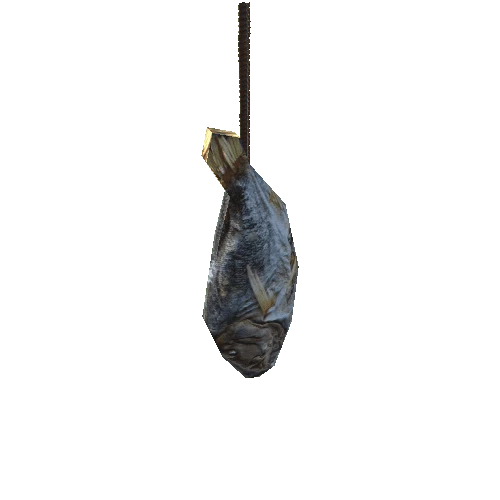 Fish Hanging